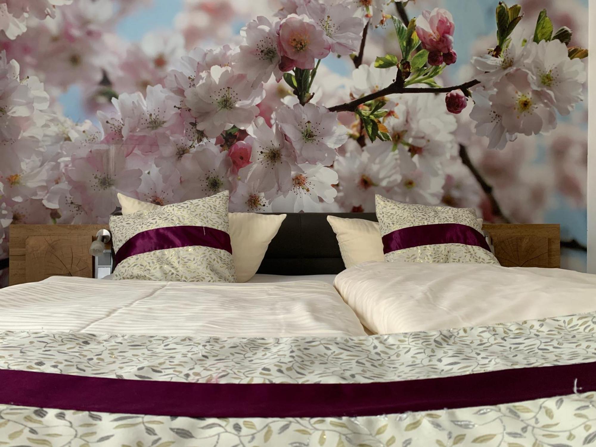 Hotel Paidion Браунлаге Екстериор снимка